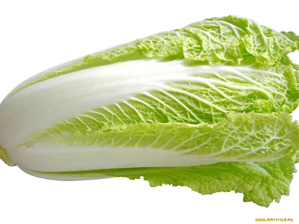 , , , 